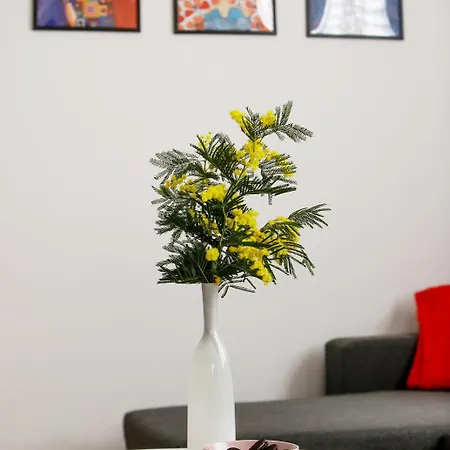Suzy's Place Apartment