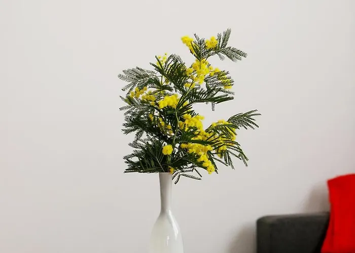 Suzy's Place Appartamento